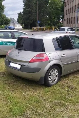 W akcji brała też udział policja 