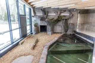 Pawilon dla hipopotamów karłowatych w krakowskim zoo