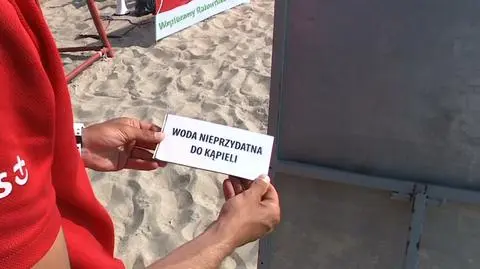Trójmiejskie plaże zamknięte z powodu sinic