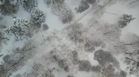 Białystok, śnieg, zima (03.12.2023)