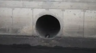 Kot ukrył się w rurze odprowadzającej deszczówkę