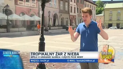 Kurtyny wodne w Krakowie