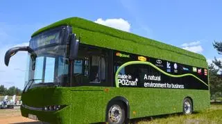 Od 2 czerwca elektryczny autobus jeździ po Poznaniu 