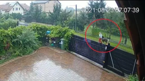 Bez tytułu