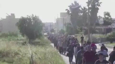 migranci