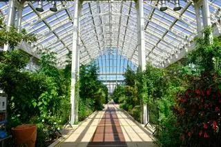 Wnętrze jednej ze szklarni Królewskich Ogrodów Botanicznych w Kew