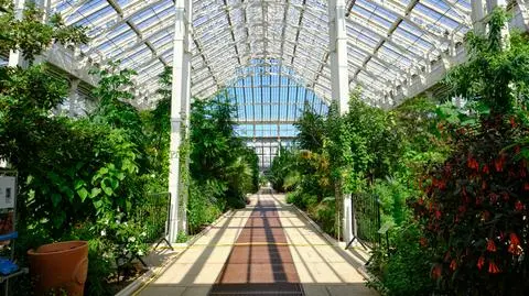 Wnętrze jednej ze szklarni Królewskich Ogrodów Botanicznych w Kew