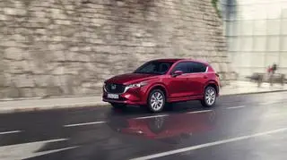 Aktualnie czytasz: SUV skrojony do potrzeb rodzin