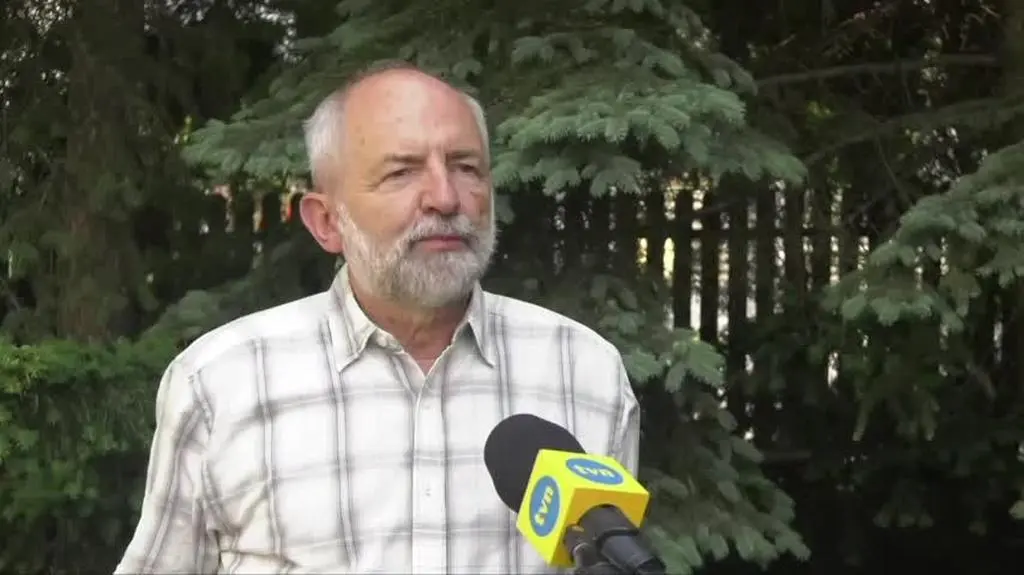 braun dobry 1