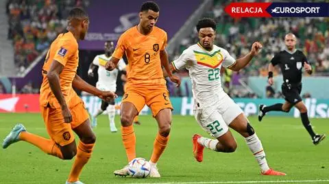 Przełamanie w meczu mundialu, Holendrzy z upragnionym golem