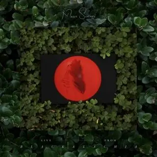Moses Sumney "Live from Blackalachia"