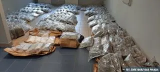 Policja przejęła ponad 220 kilogramów narkotyków