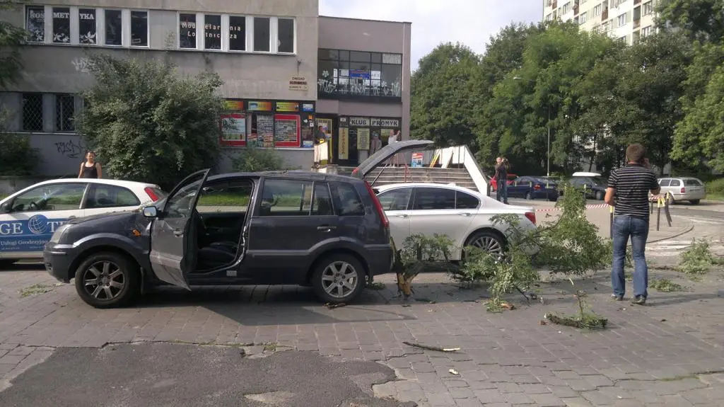 Konar zaskoczył kierowcę