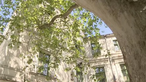 Przychodnia powstała w odnowionym budynku po poradni chorób płuc przy ul. Mielczarskiego