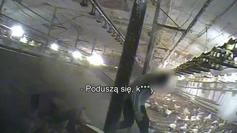 "Jak nie przy********sz, ucieknie. Nie bój się kopnąć, młody!". Reporter TVN24 na fermie drobiu 