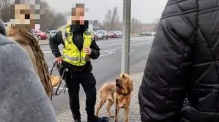 Niemiecka policja pomagała w tropieniu sprawcy 