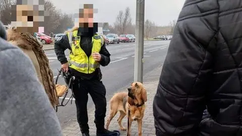 Niemiecka policja pomaga w tropieniu sprawcy 