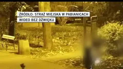 tofik 