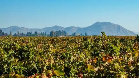Przez pomyłkę dostał 286 pensji. Zniknął