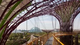 Gardens by the Bay