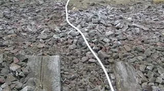 Mieszkaniec gminy Jarocin usiłował zdemontować czujniki systemu SHP