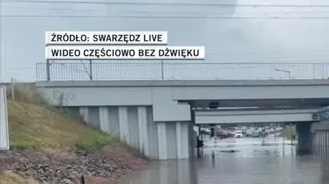 samochody 