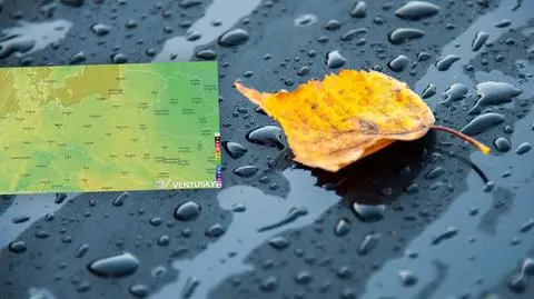 meteo vent 16