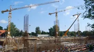 Budowa największego w Polsce afrykanarium