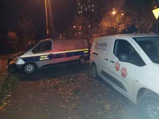 Kolejne szczeniaki w kamienicy w Łodzi
