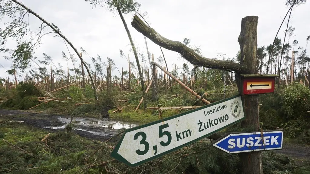 Łódzki kurator oświaty o tragedii w Suszku