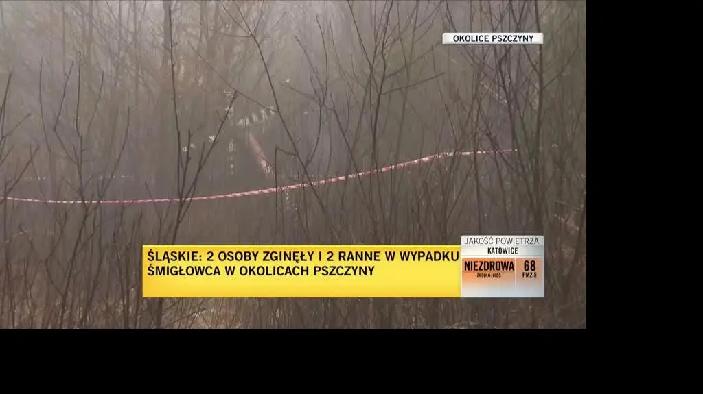 pszczyna live 2