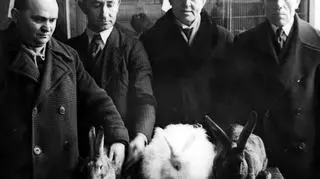 Pokaz drobiu i zwierząt futerkowych w 1937 r