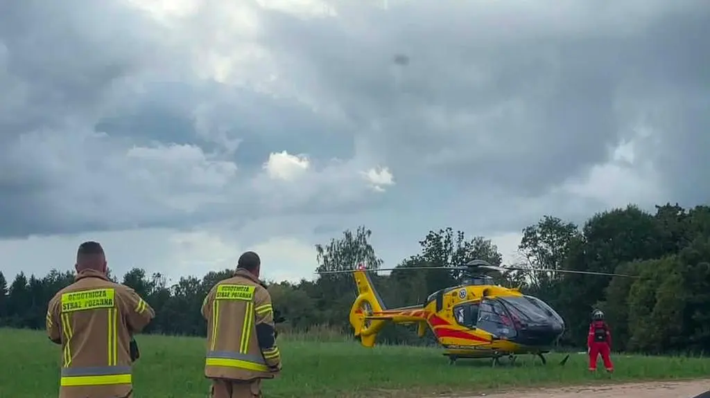 Żubr poturbował dwie osoby