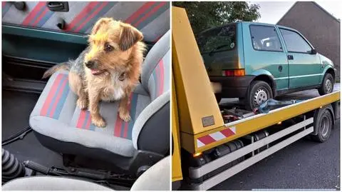 Piesek wypadł z auta. Kierowca był pijany