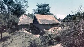 Dachy domów kryte strzechą to dziś coraz rzadszy widok