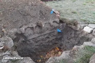 Zwierzę utknęło w wykopie