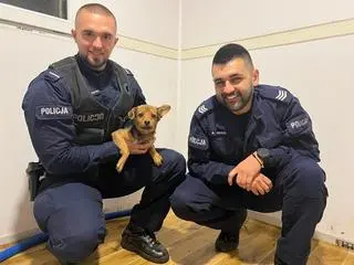 Psa usłyszeli sąsiedzi i wezwali policję