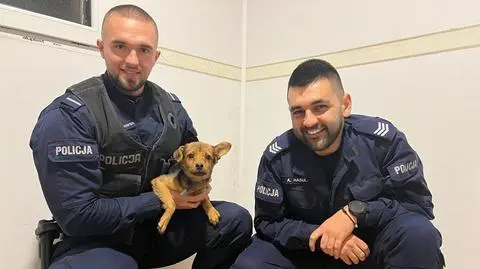 Psa usłyszeli sąsiedzi i wezwali policję