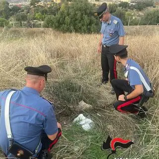 Noworodek leżał na ziemi przy nieuczęszczanej drodze