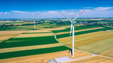 shutterstock_1774483817