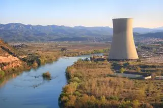 Elektrownia atomowa w Asco