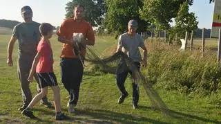 Bociana uratowali mieszkańcy