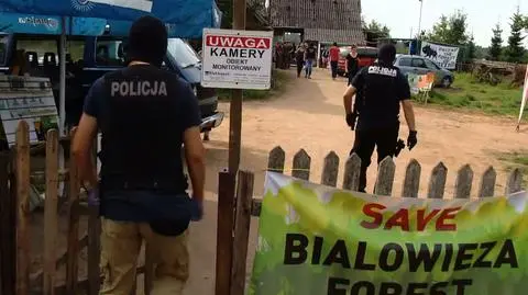 "Trwa na nas nagonka". Policjanci wkroczyli do obozu obrońców puszczy