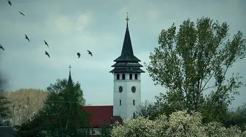 Spór wokół budowy centralnego lotniska