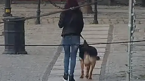 Mieszkanka Świdnicy odpowie przed sądem za niesprzątanie po swoim psie (wideo archiwalne)