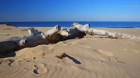 Plaże pod specjalnym nadzorem. Mandaty za alkohol