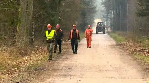Konflikt pomiędzy ministrem Szyszko a ekologami w Puszczy Białowieskiej