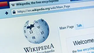 Z Wikipedii codziennie korzystają miliony internautów na całym świecie