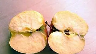 Koniec "brązu" na jabłkach