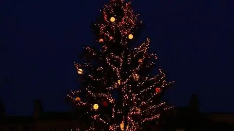 Na choince rozbłysło 40 tys. lampek